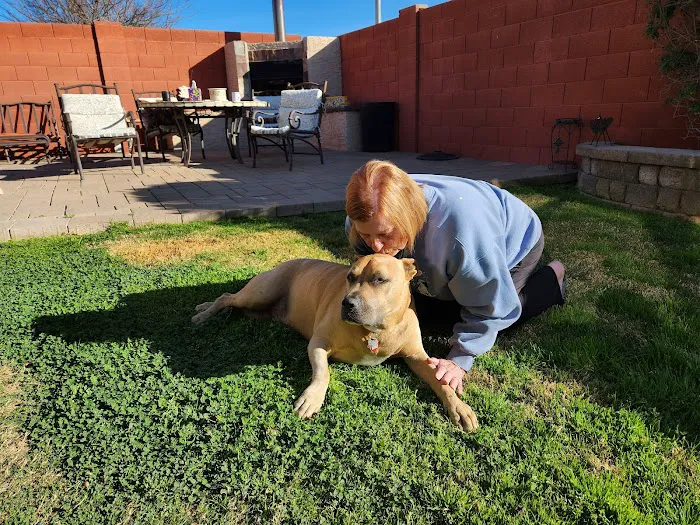KC In-Home Pet Euthanasia Picture 10