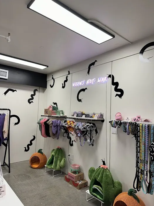 bean goods Picture 8