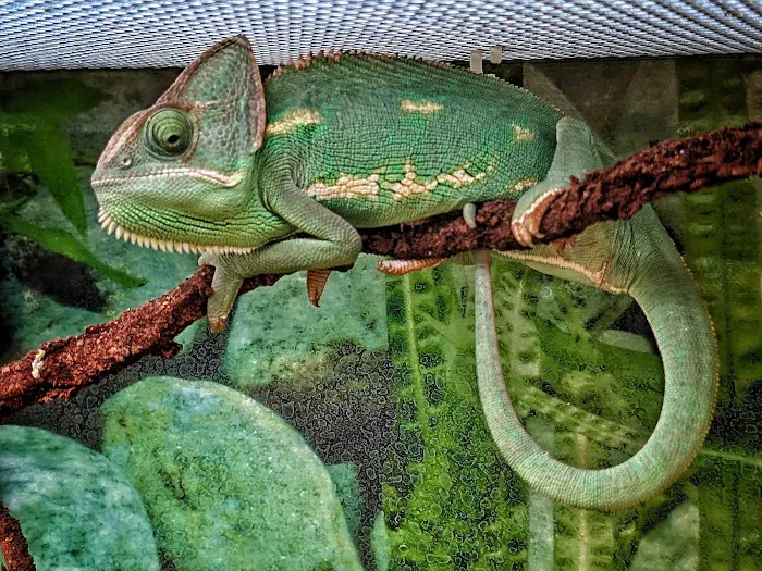 Petco Picture 4