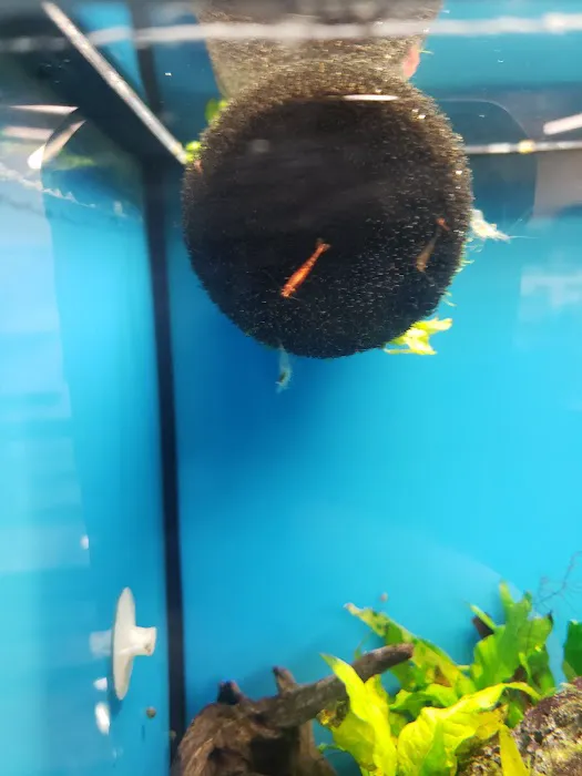 Petco Picture 2