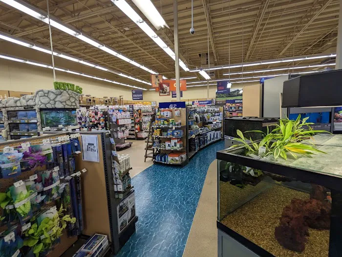 Petco Picture 6