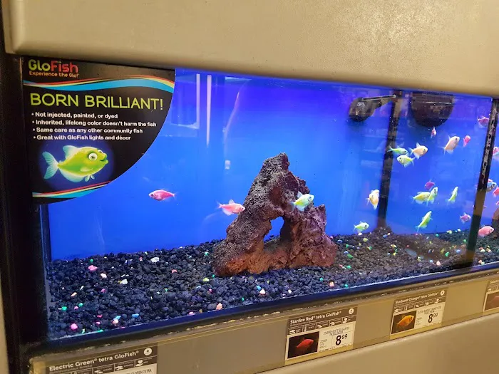 Petco Picture 8