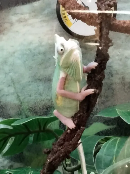 Petco Picture 10