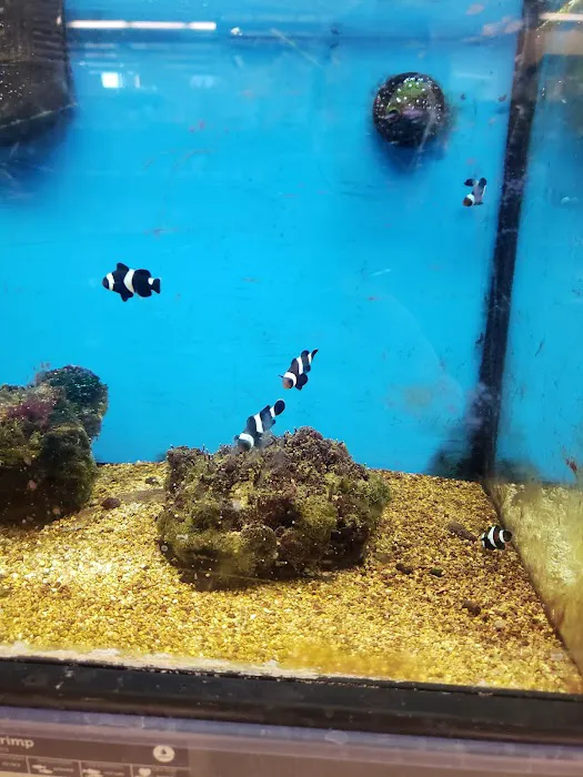 Petco Picture 9