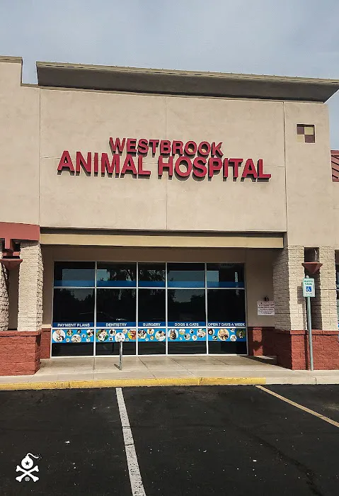 Lovet Pet Health Care - Westbrook Picture 4