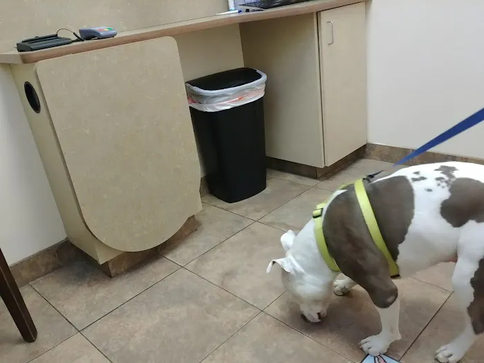 Lovet Pet Health Care - Westbrook Picture 2