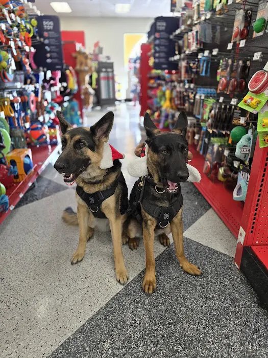 Petco Picture 3