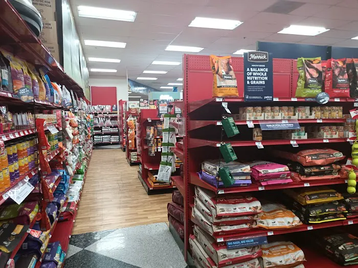 Petco Picture 2