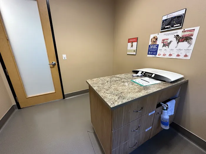 Pet Dental USA Picture 5