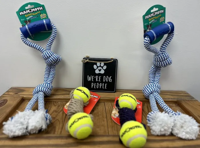 Whiskerz & Wagz Picture 7