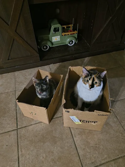 Walmart Pet Services Picture 4