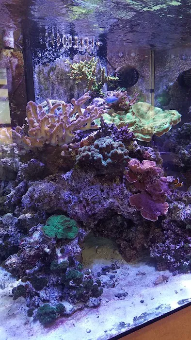Zen Aquatics Picture 6