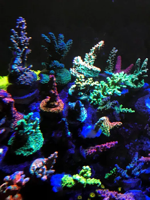 Zen Aquatics Picture 8