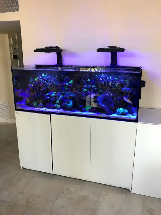 Zen Aquatics Picture 7