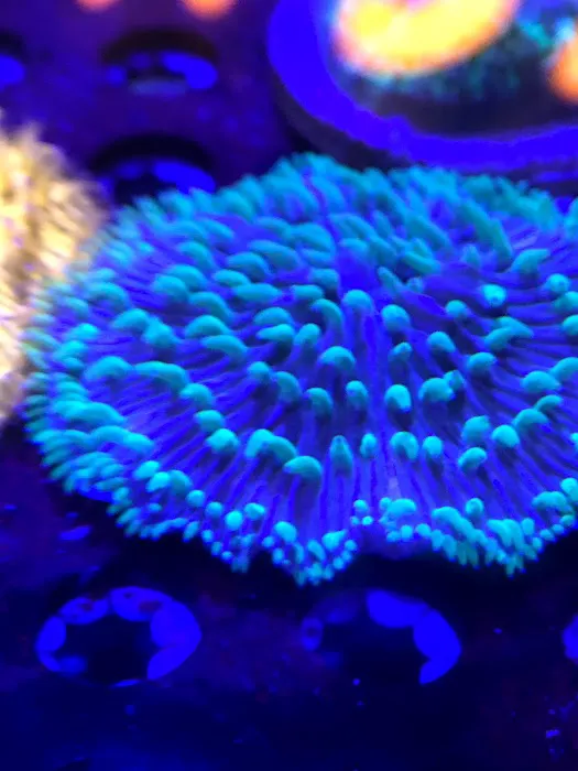 Zen Aquatics Picture 3