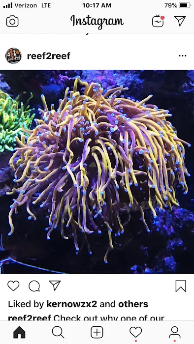 Zen Aquatics Picture 10