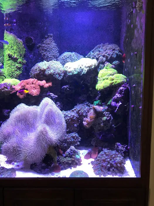 Zen Aquatics Picture 9