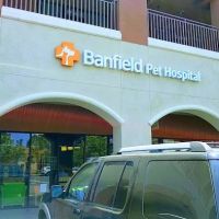 Banfield Pet Hospital ico