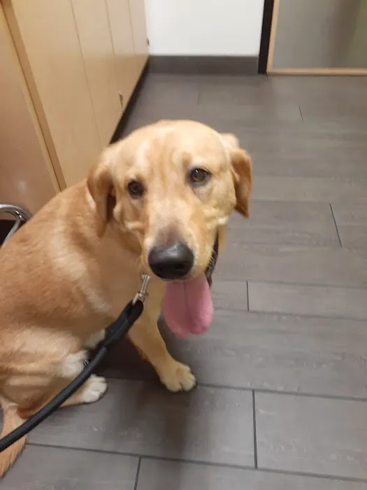 Banfield Pet Hospital Picture 3
