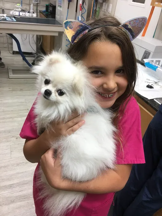 VCA Camino Animal Hospital Picture 9
