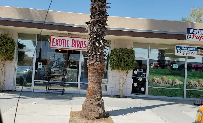 Exotic Birds Unlimited Picture 1
