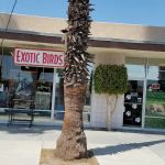 Exotic Birds Unlimited