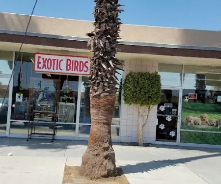 Exotic Birds Unlimited