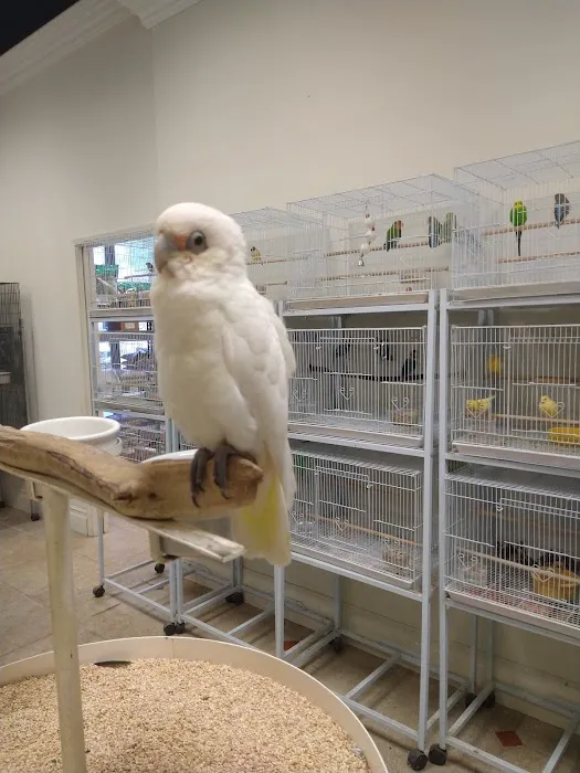 Exotic Birds Unlimited Picture 3