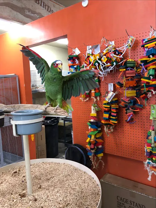 Exotic Birds Unlimited Picture 6