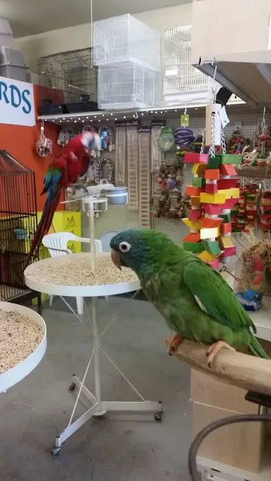 Exotic Birds Unlimited Picture 9