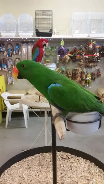 Exotic Birds Unlimited Picture 7