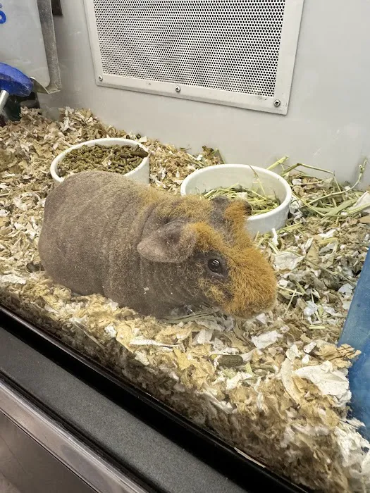 Petco Picture 3