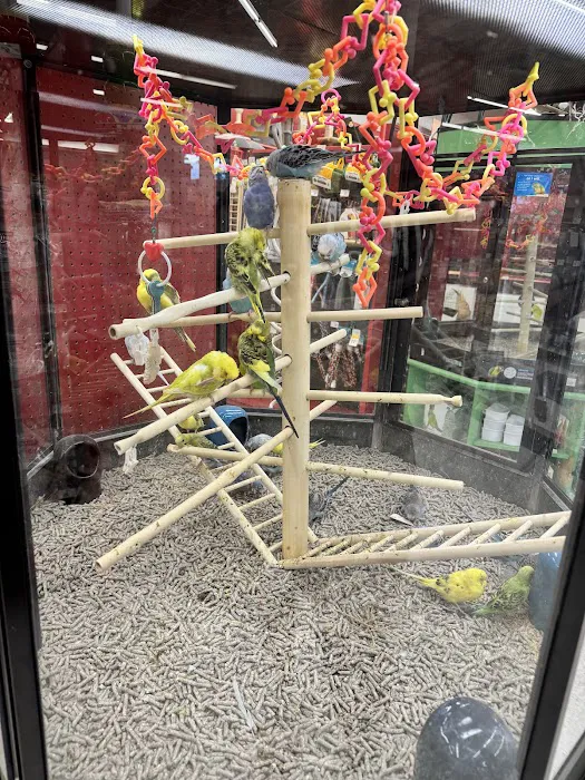 Petco Picture 5