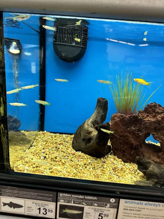 Petco Picture 6