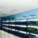 Coachella Valley Aquatics