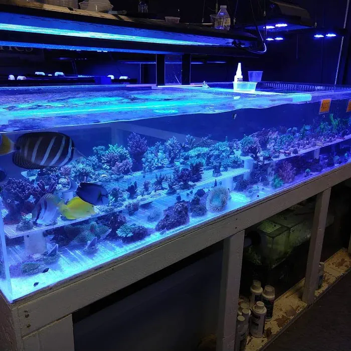 LightHouse Aquatics Picture 3