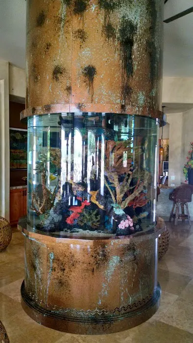 LightHouse Aquatics Picture 7