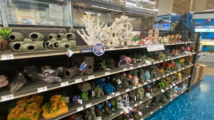 Petco Picture 4