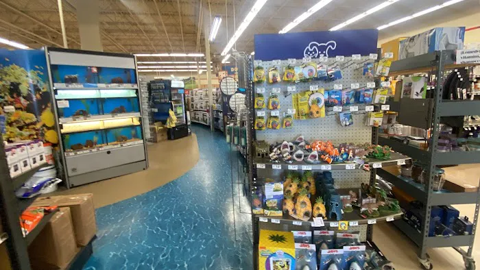 Petco Picture 5