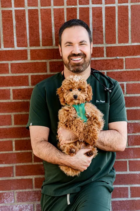 The Pet Hospital of Thousand Oaks Picture 8