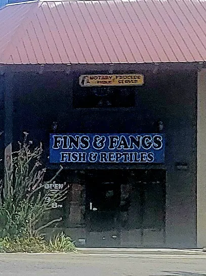 Fins & Fangs Picture 3