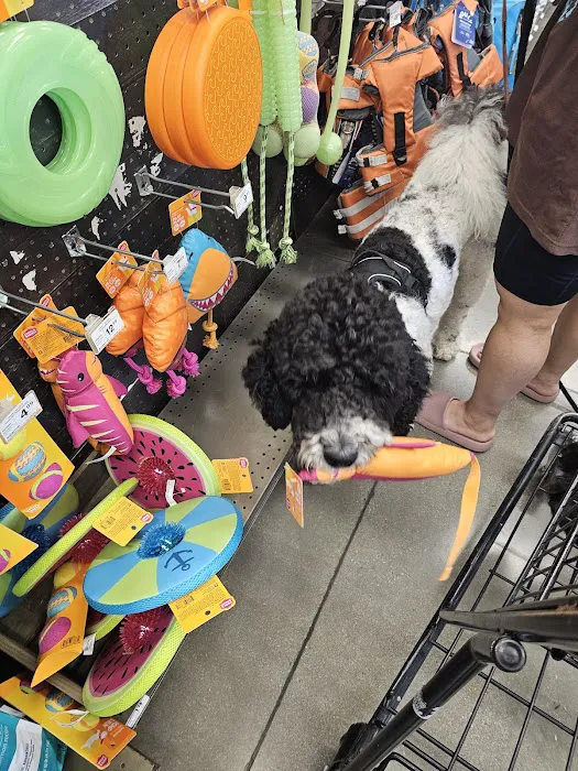 Petco Picture 1