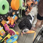 Petco