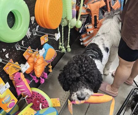 Petco