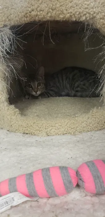 Petco Picture 2