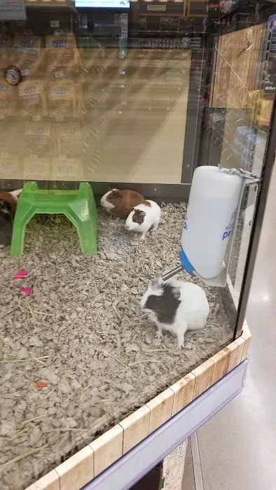 Petco Picture 3