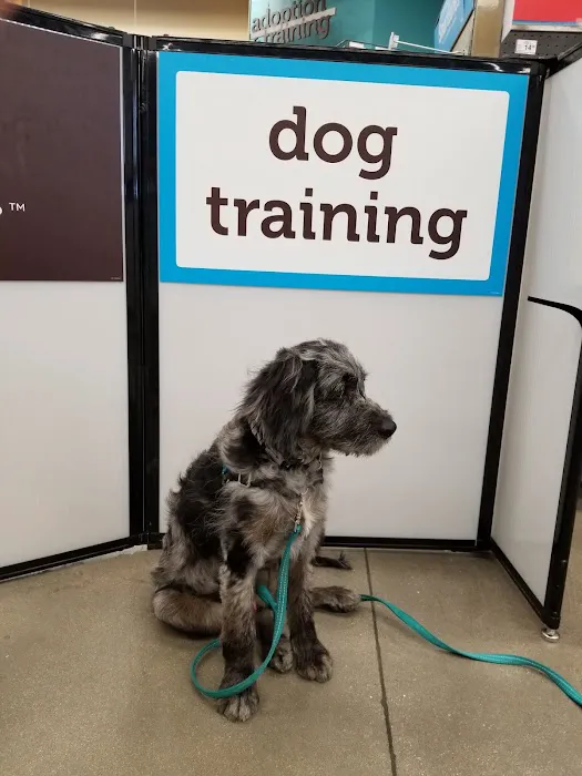 Petco Picture 8
