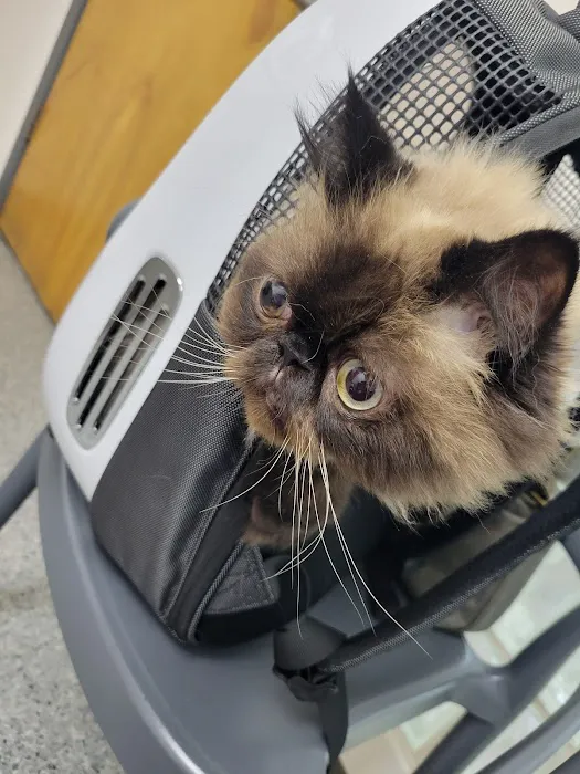 Paw Works Veterinary Hospital Picture 8