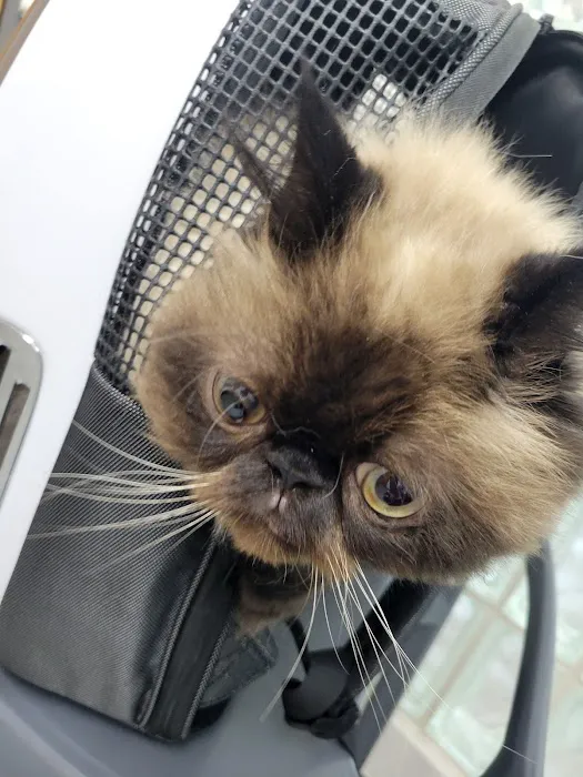 Paw Works Veterinary Hospital Picture 10