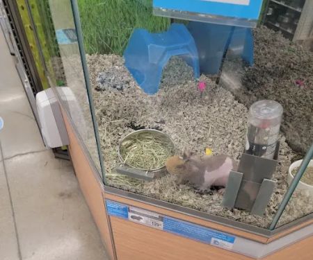 Petco